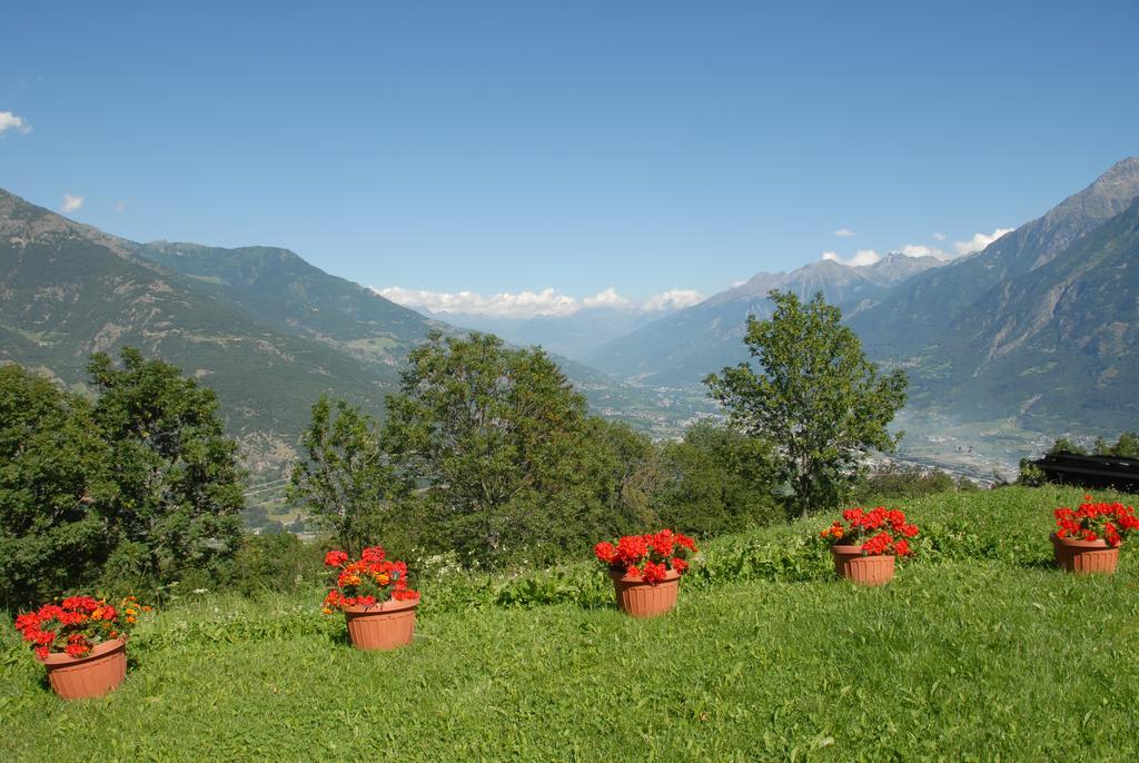 Agriturismo Plan D'Avie Аоста Екстериор снимка