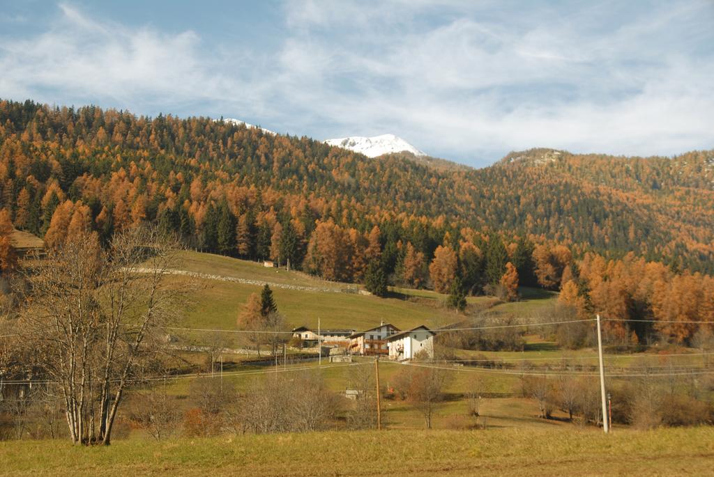 Agriturismo Plan D'Avie Аоста Екстериор снимка