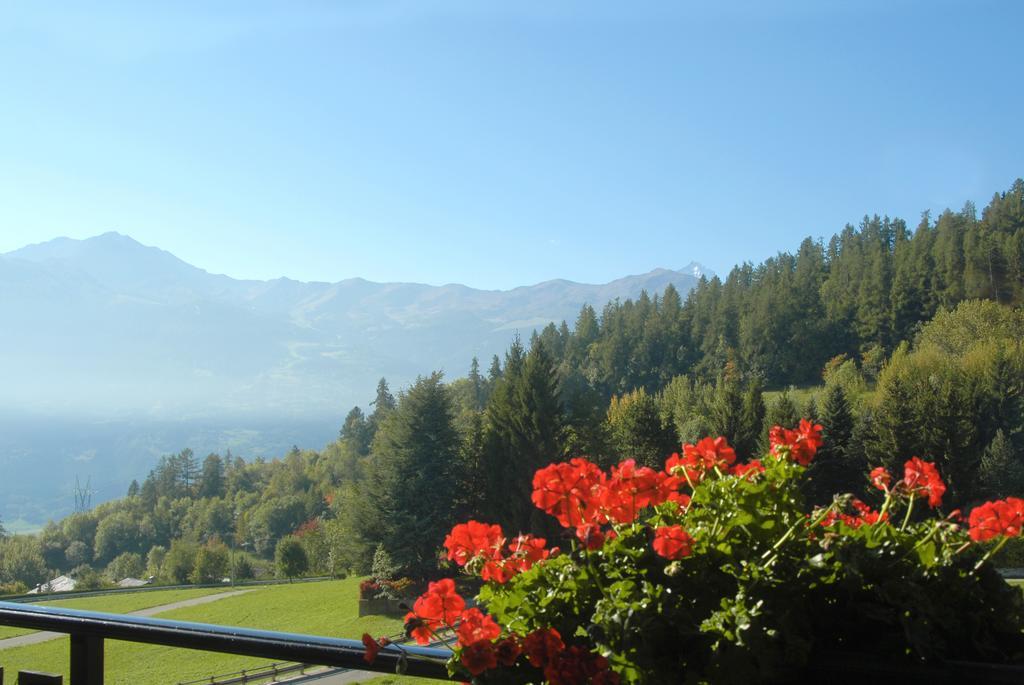 Agriturismo Plan D'Avie Аоста Стая снимка