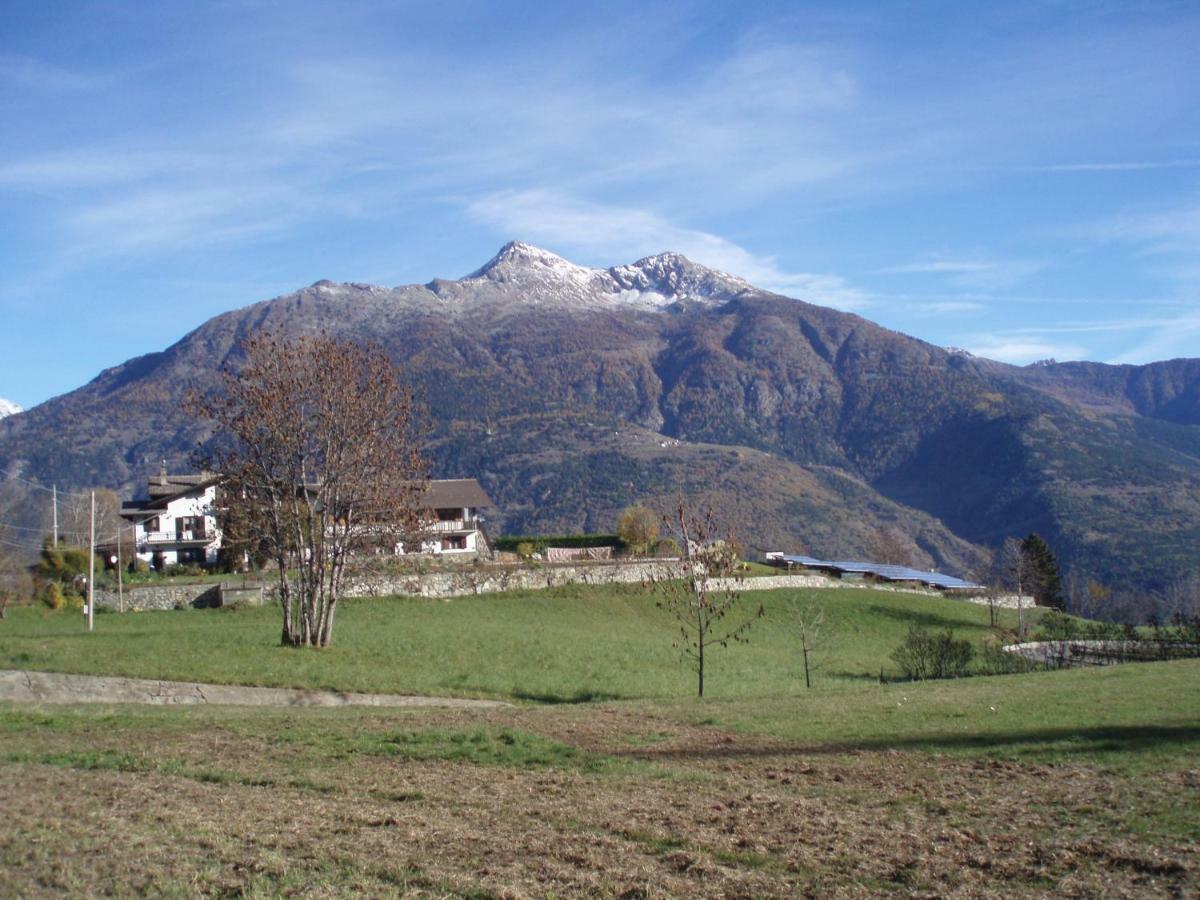 Agriturismo Plan D'Avie Аоста Екстериор снимка