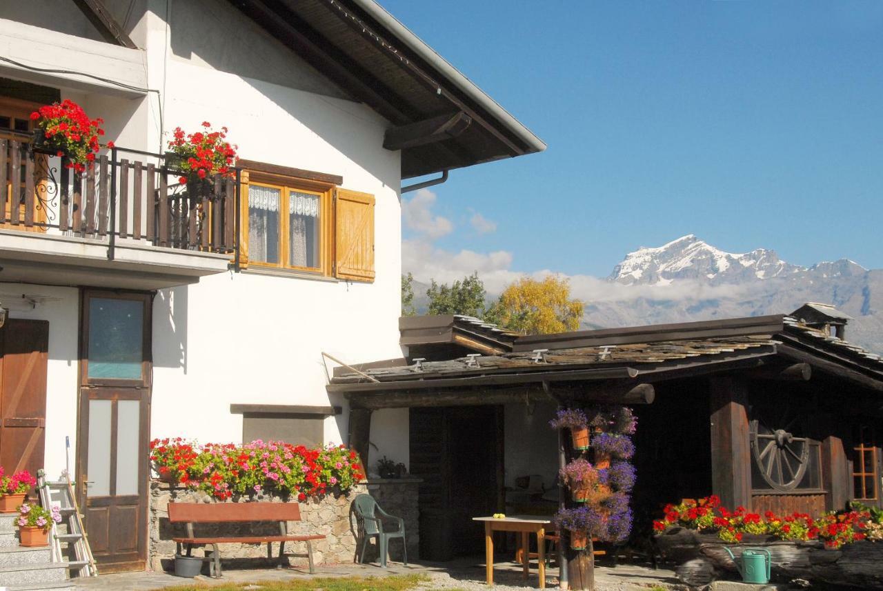 Agriturismo Plan D'Avie Аоста Екстериор снимка